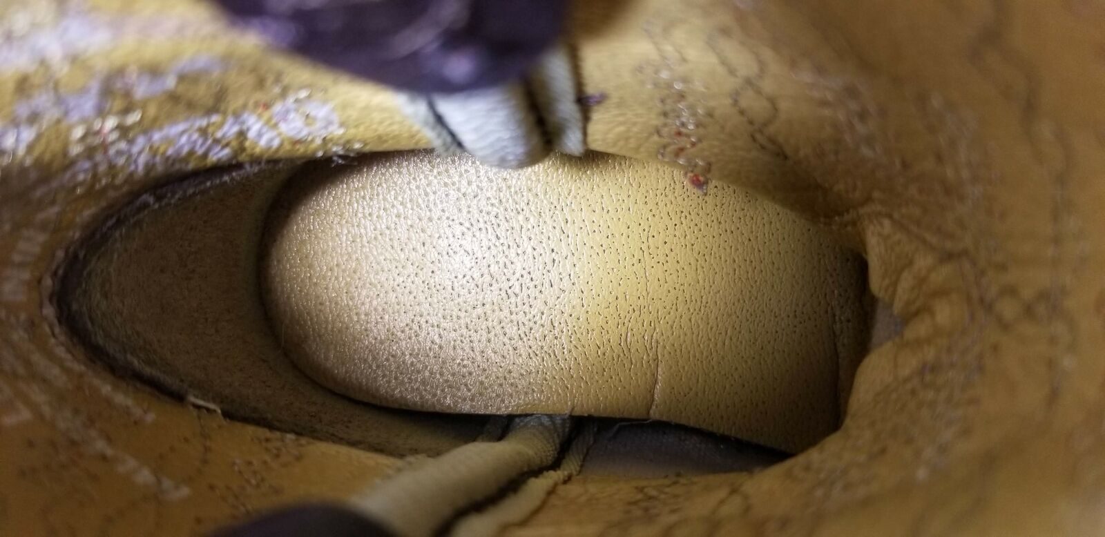 Smoky Mountain Toddler