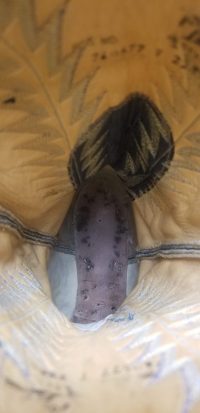 Tony Lama Turquoise And Navy Blue Cowboy Boots Vintage Black Label Womens 8 B (1)