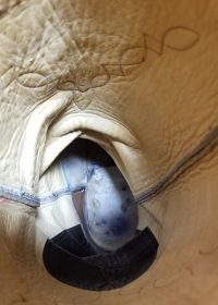 to stanley custom vintage nee high brown cowboy boots womens (15)