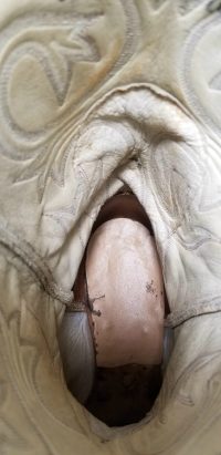 20191023_125755
