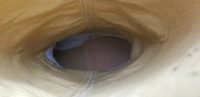 Justin Marbled Brown Leather 16 Tall Riding Boots Vintage US Made Women