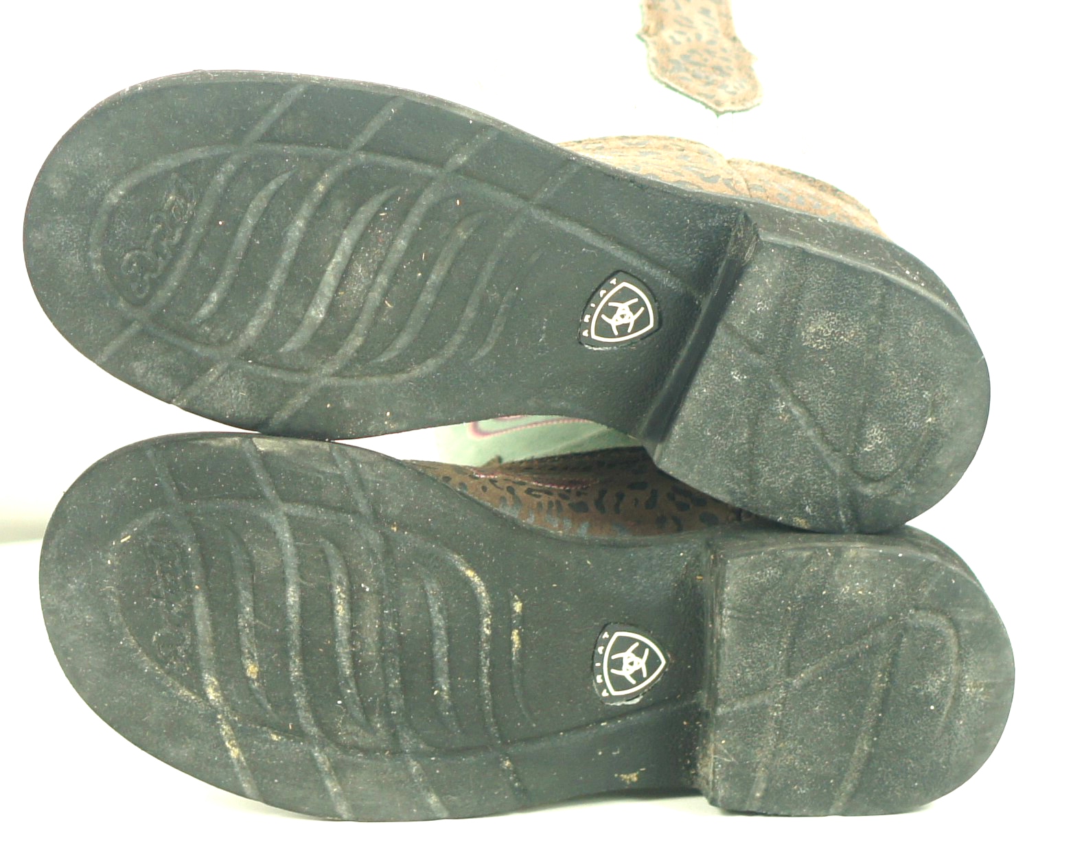 Ariat Fatbaby Harmony Mint Leopard Cowboy Riding Boots Discontinued Women