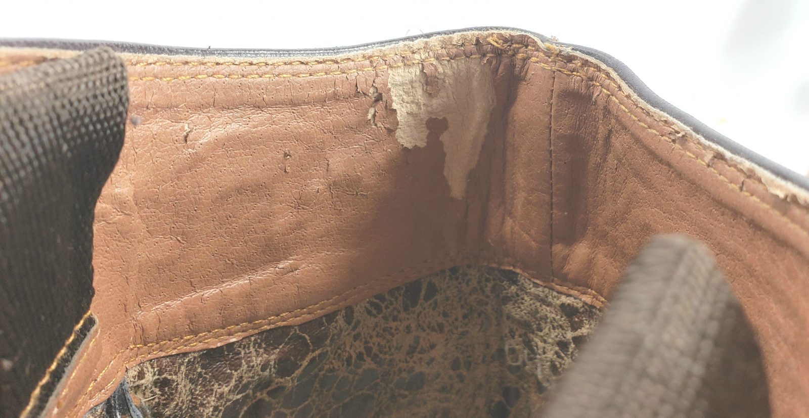 Ariat Sahara Brown Leather 17 Tall Knee Hi Riding Boots Discontinued Womens (1)