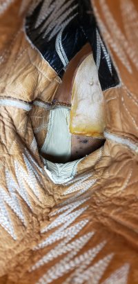 Sanders Golden Tan Leather Western Cowboy Boots Handcrafted Mexico Men