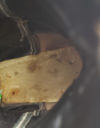 Tony Lama Lizardskin Cowboy Western Boots Vintage Spats Look Brown Black Women (1)