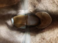 Red Wing Pecos Light Brown Rockabilly Biker Work Boots 2002 US Made Men