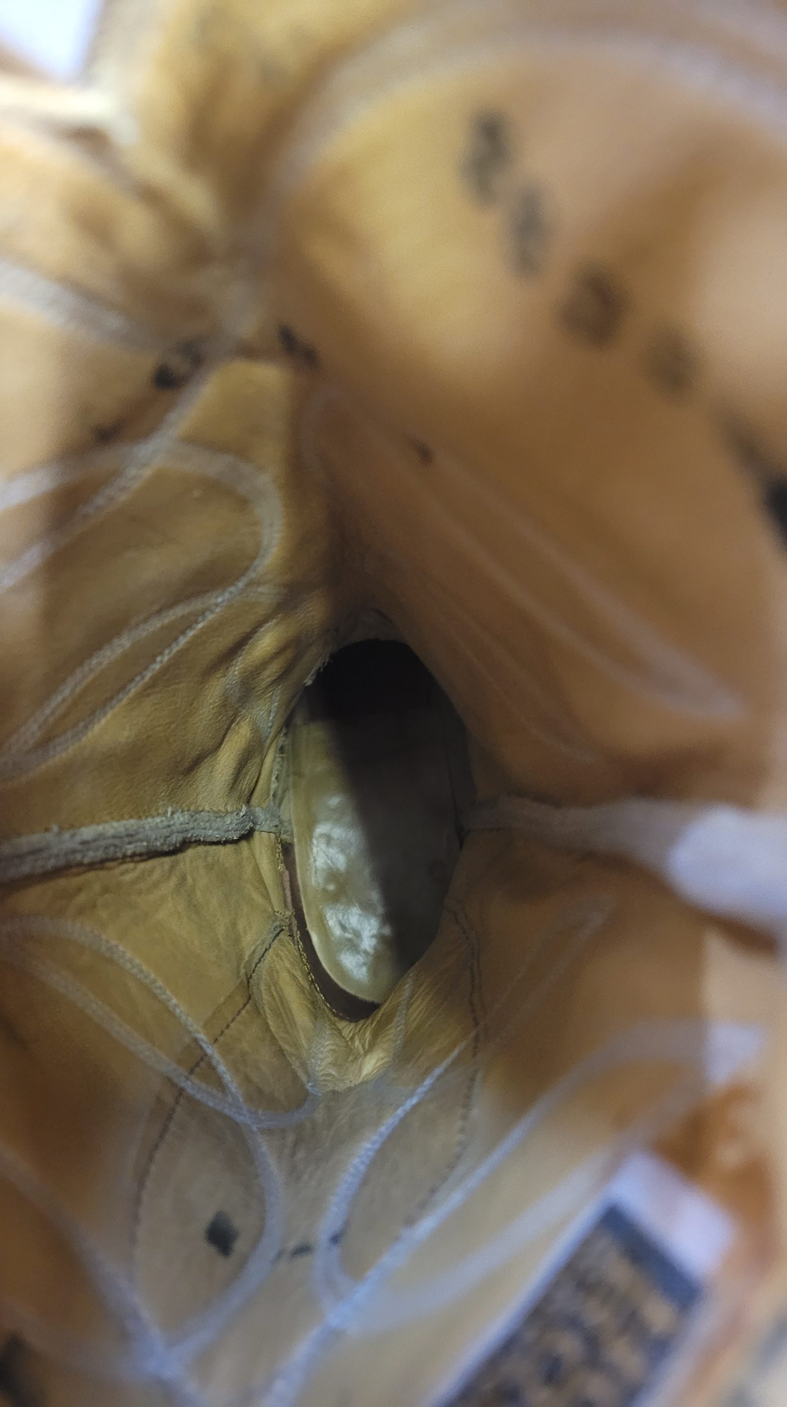 Hondo Buttercup Yellow Cowboy Buckaroo Boots Knee High 17-Inch Tall Women